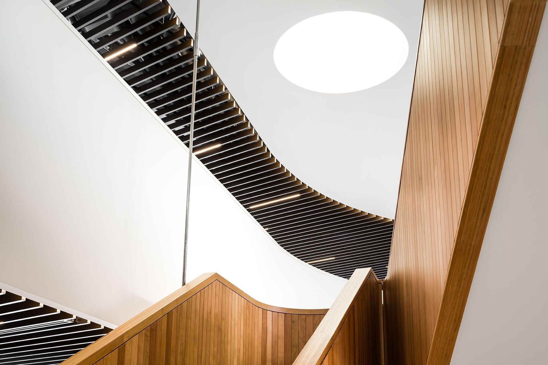 Looking up the timber stairs to the circular lightwell, which draws light down through the five levels.