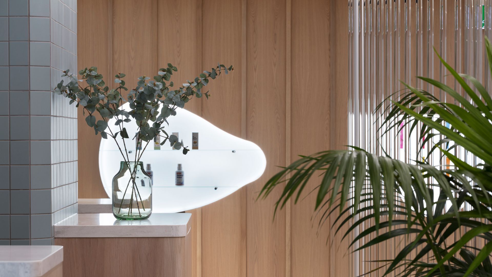 Lumino The Dentists banner