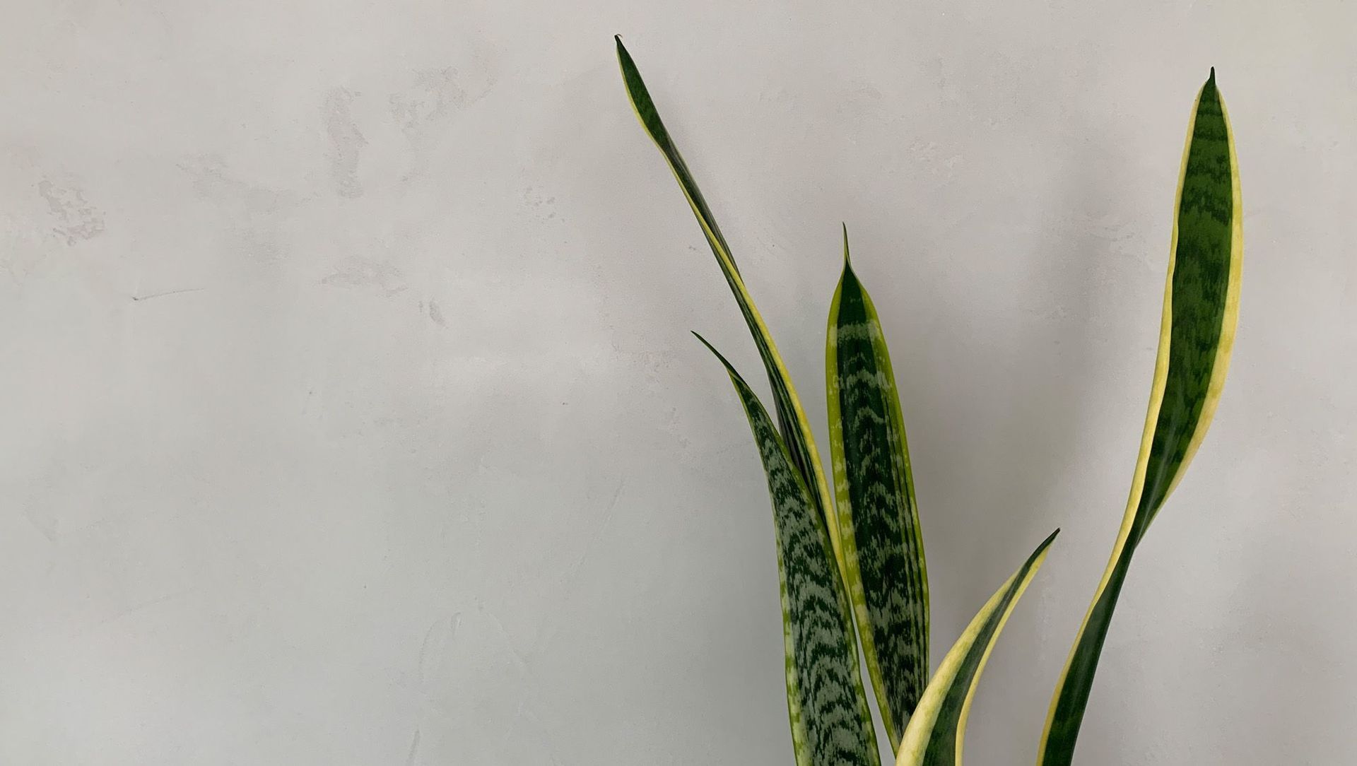 Living Room - Concrete Finish banner