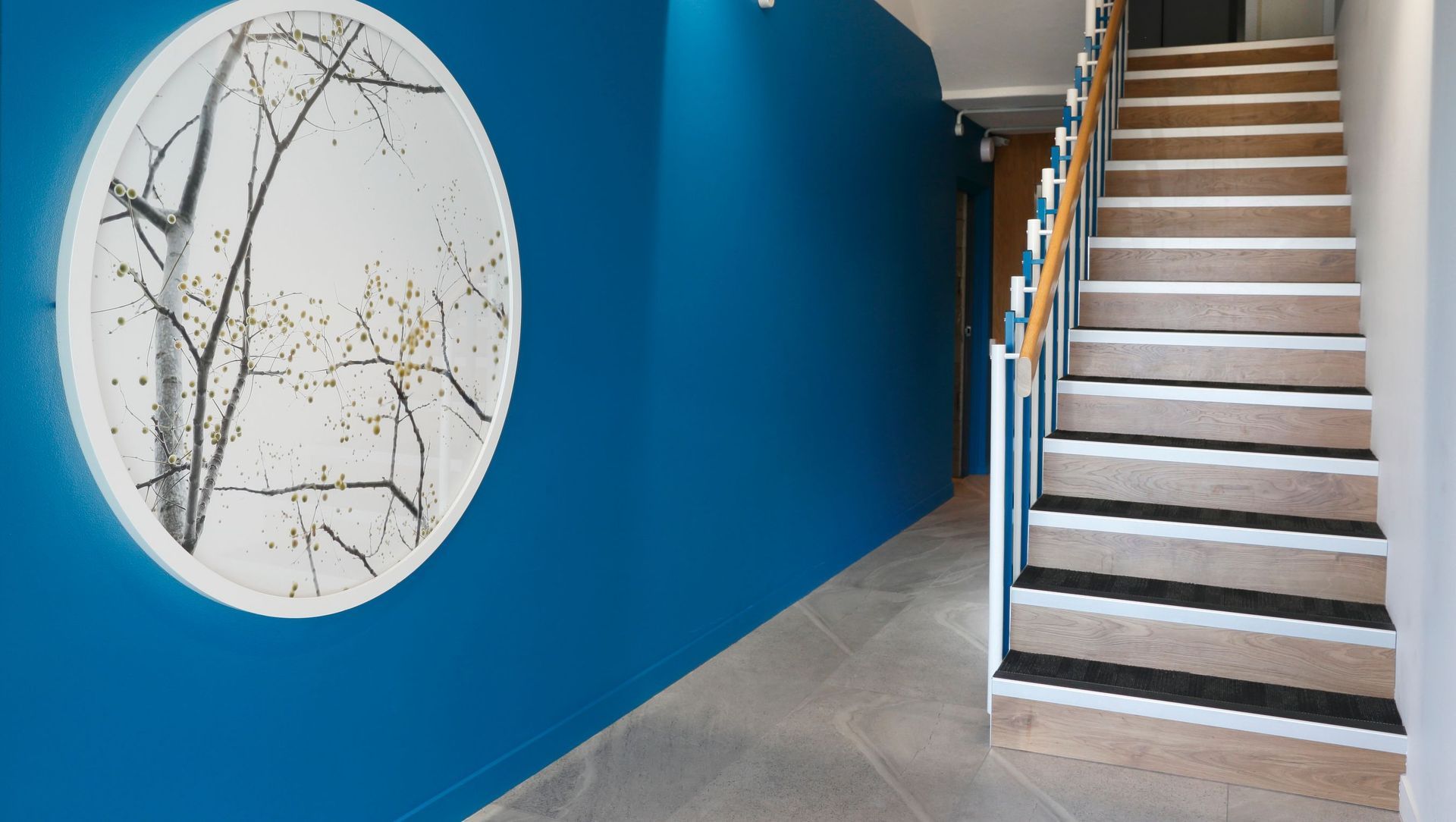 Kohimarama Apartments banner