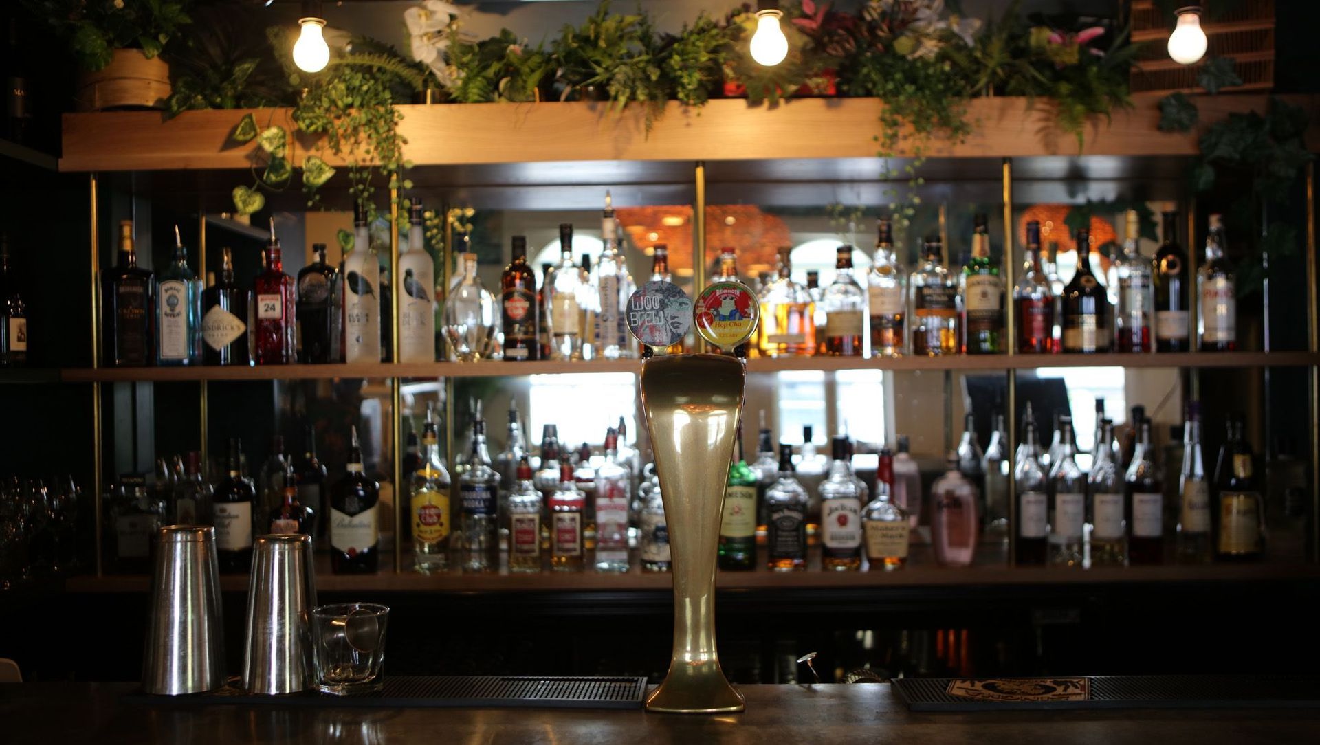 Madam Woo Parlour Bar – Queenstown banner