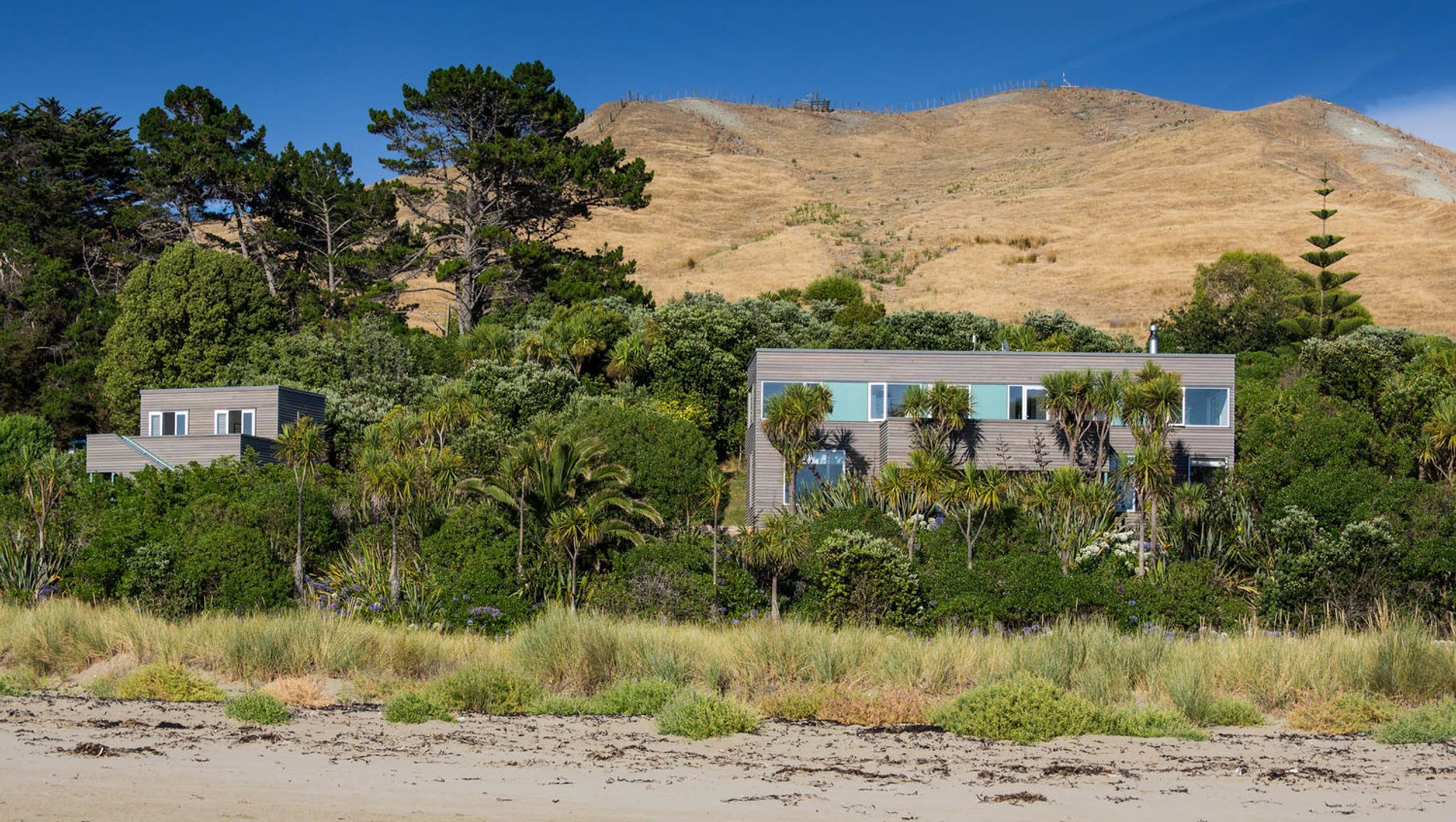 Mangakuri Bach banner