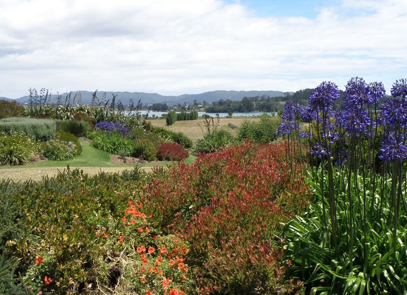 Mangawhai Garden