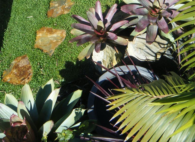 Milford Road Landscape