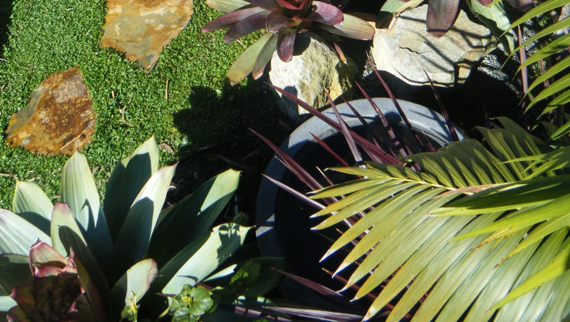 Milford Road Landscape banner