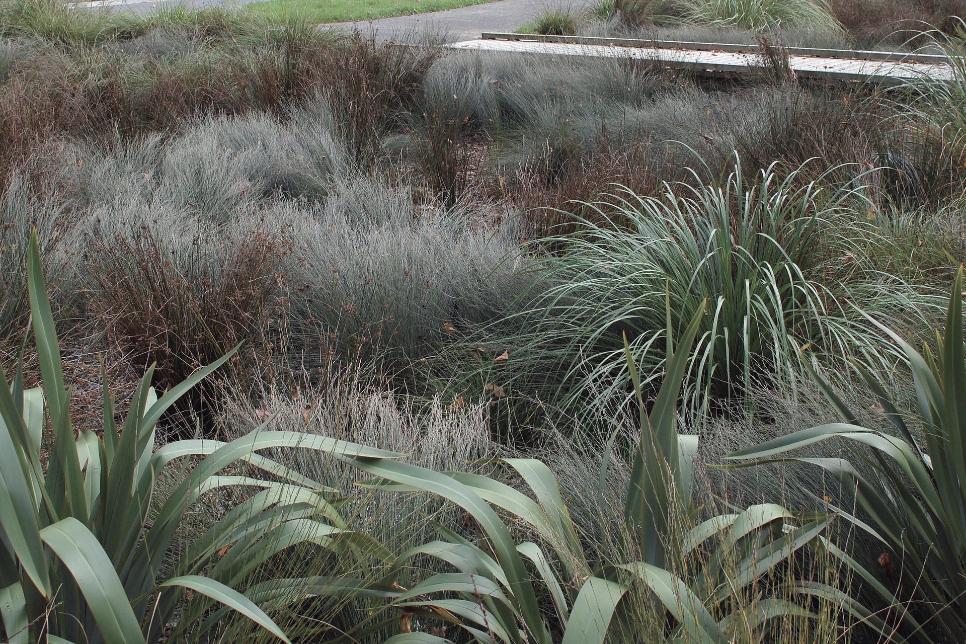 Hero Banner for NICK ROBINSON