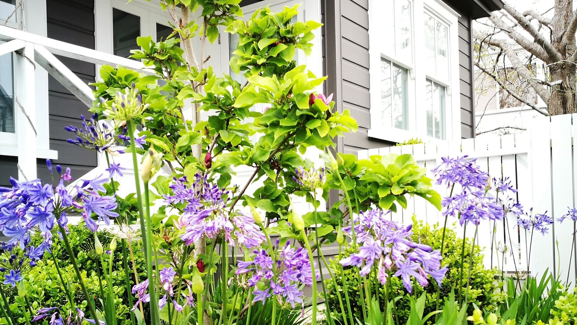 Newmarket Garden banner