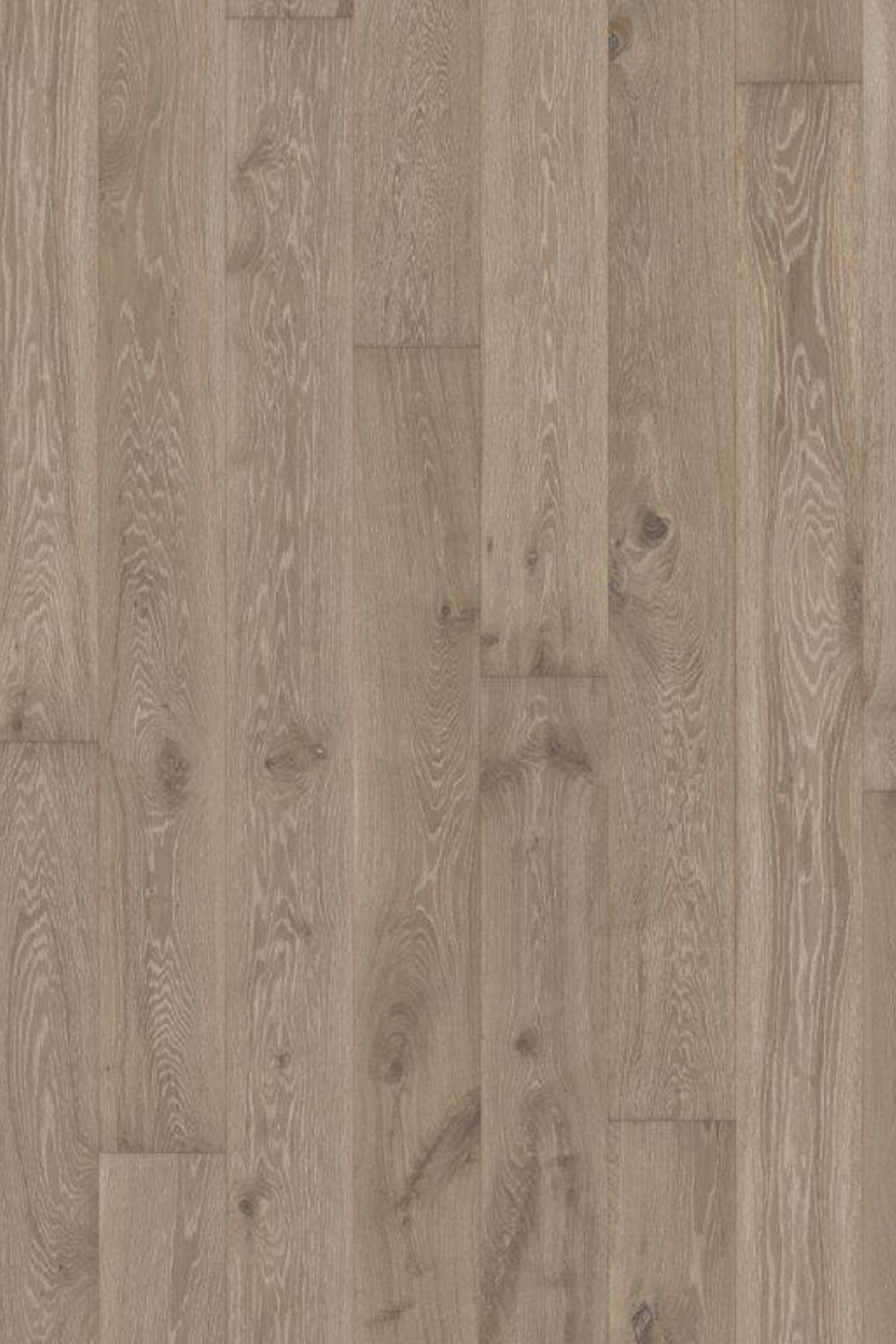 Oak Nouveau Gray Wood Flooring