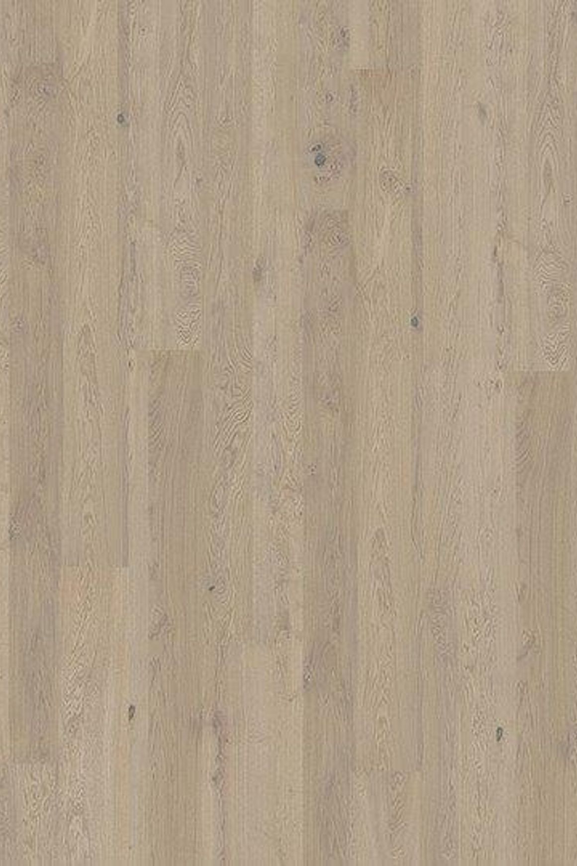 Oak Coast Wood Flooring