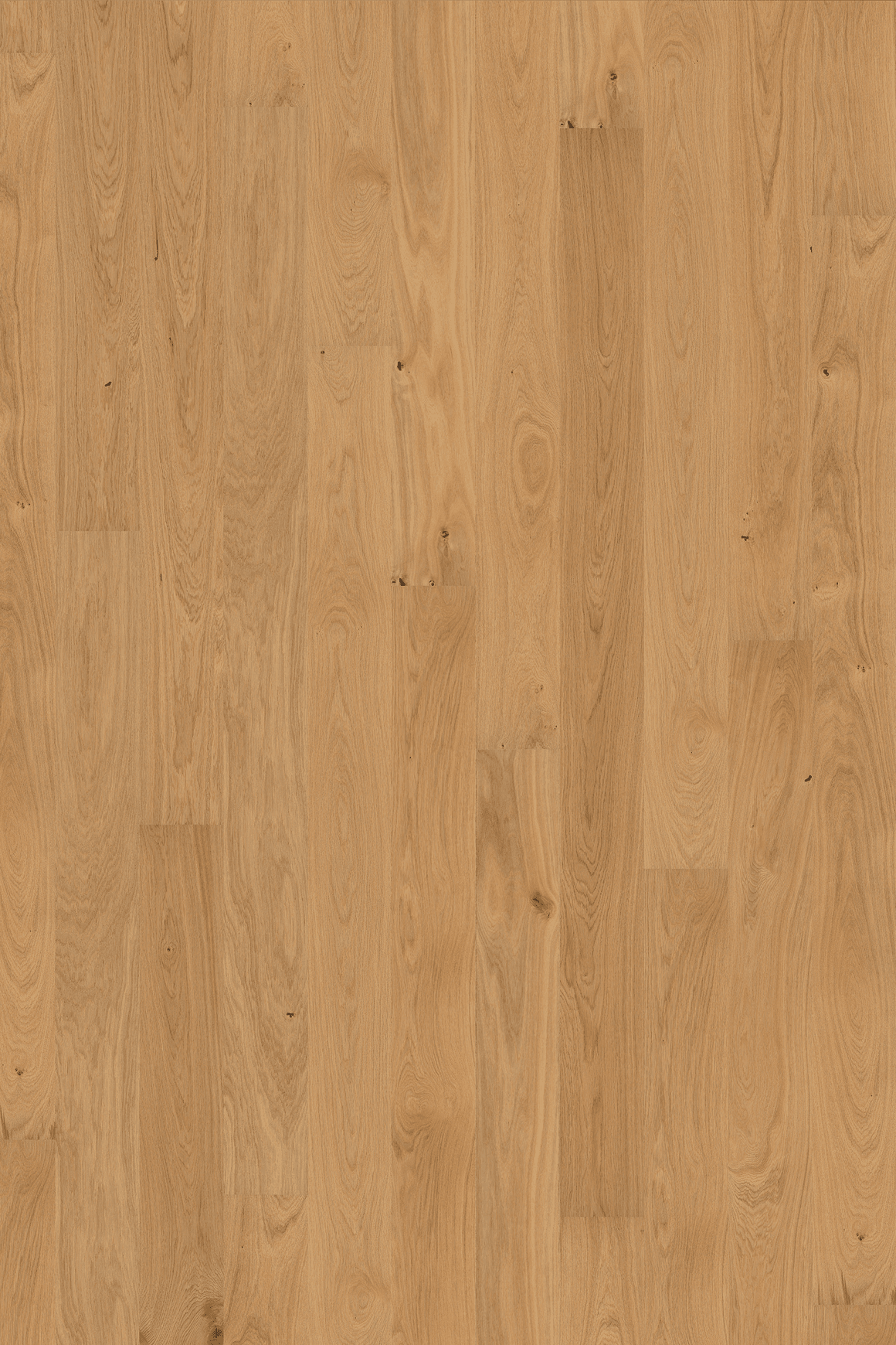 Oak Hampshire Wood Flooring