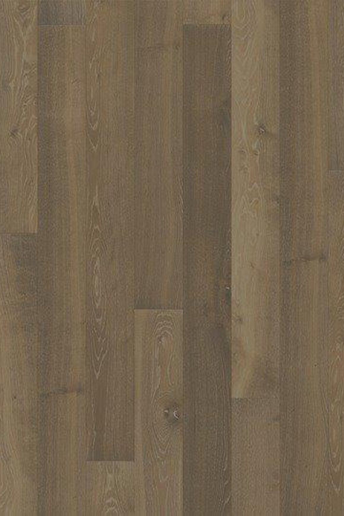 Oak Nouveau Greige Wood Flooring