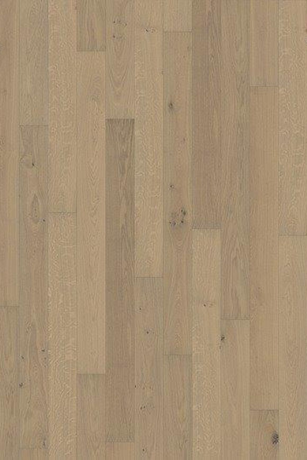Oak Nouveau White Wood Flooring