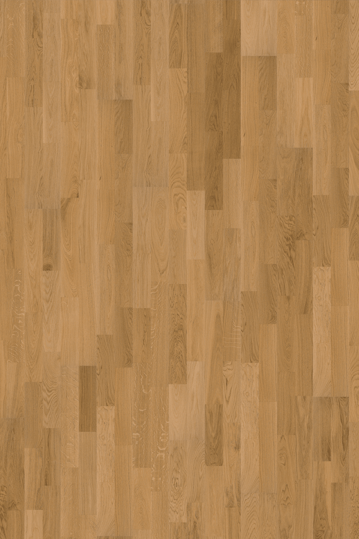Oak Verona Wood Flooring