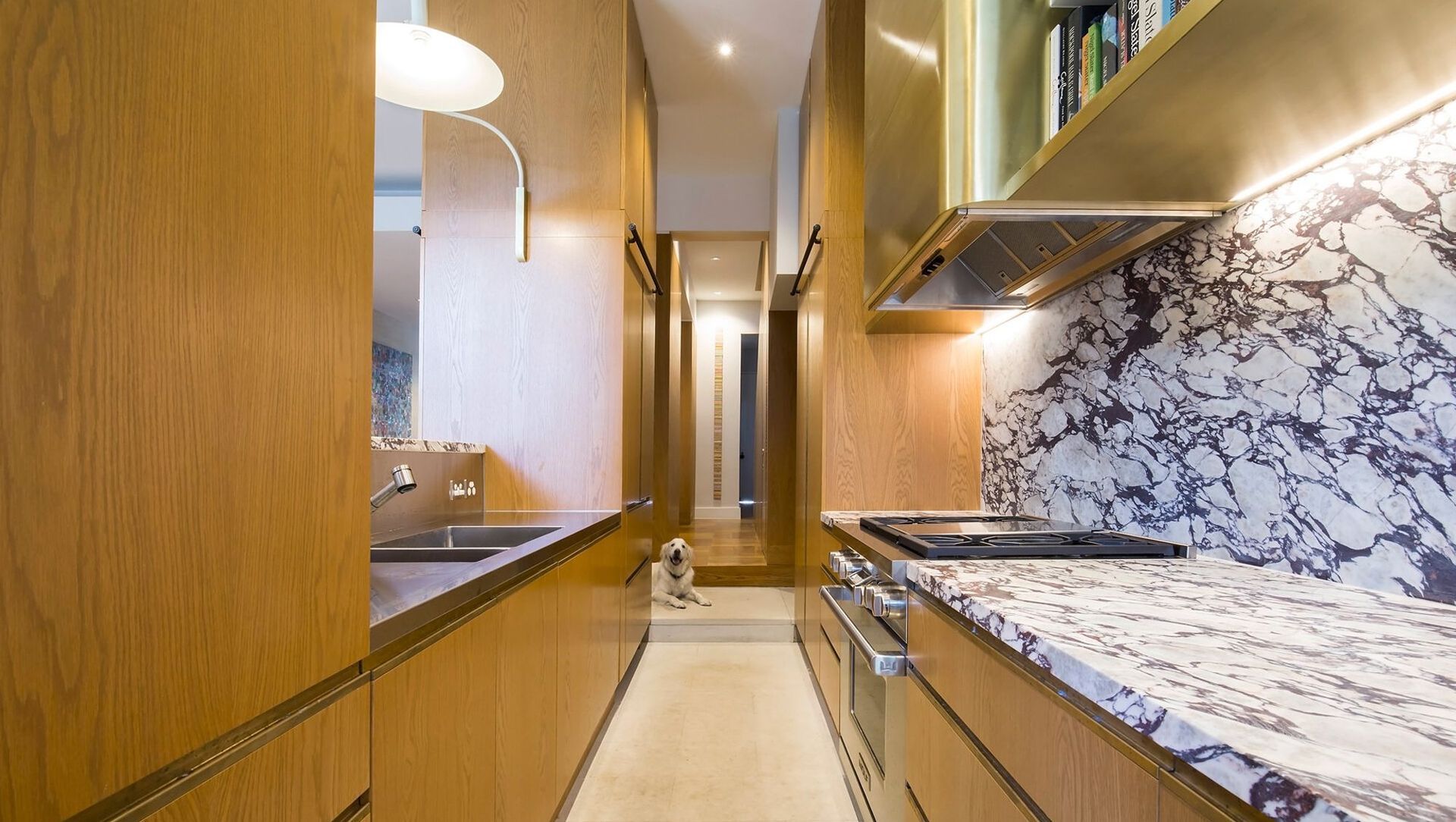 Opulent Terrace Home in Woollahra banner