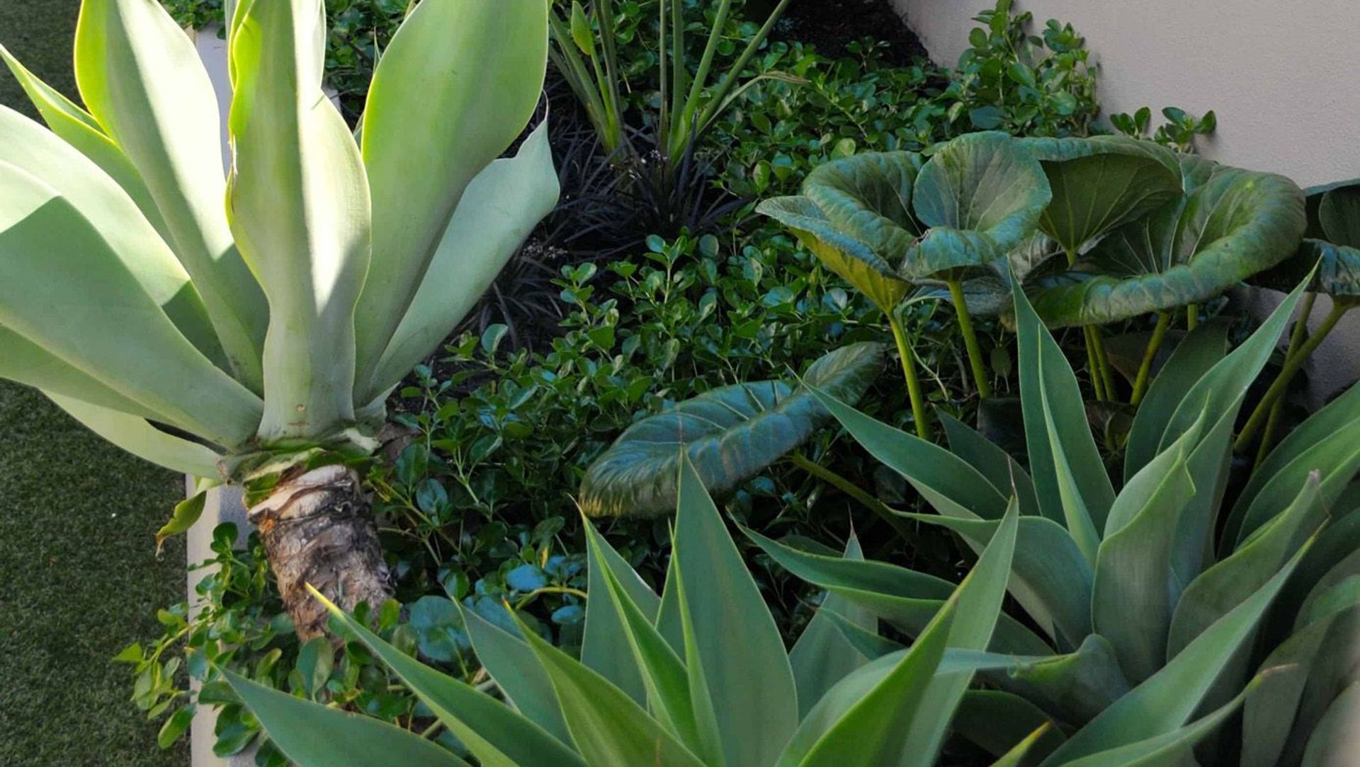 Outdoor Living banner