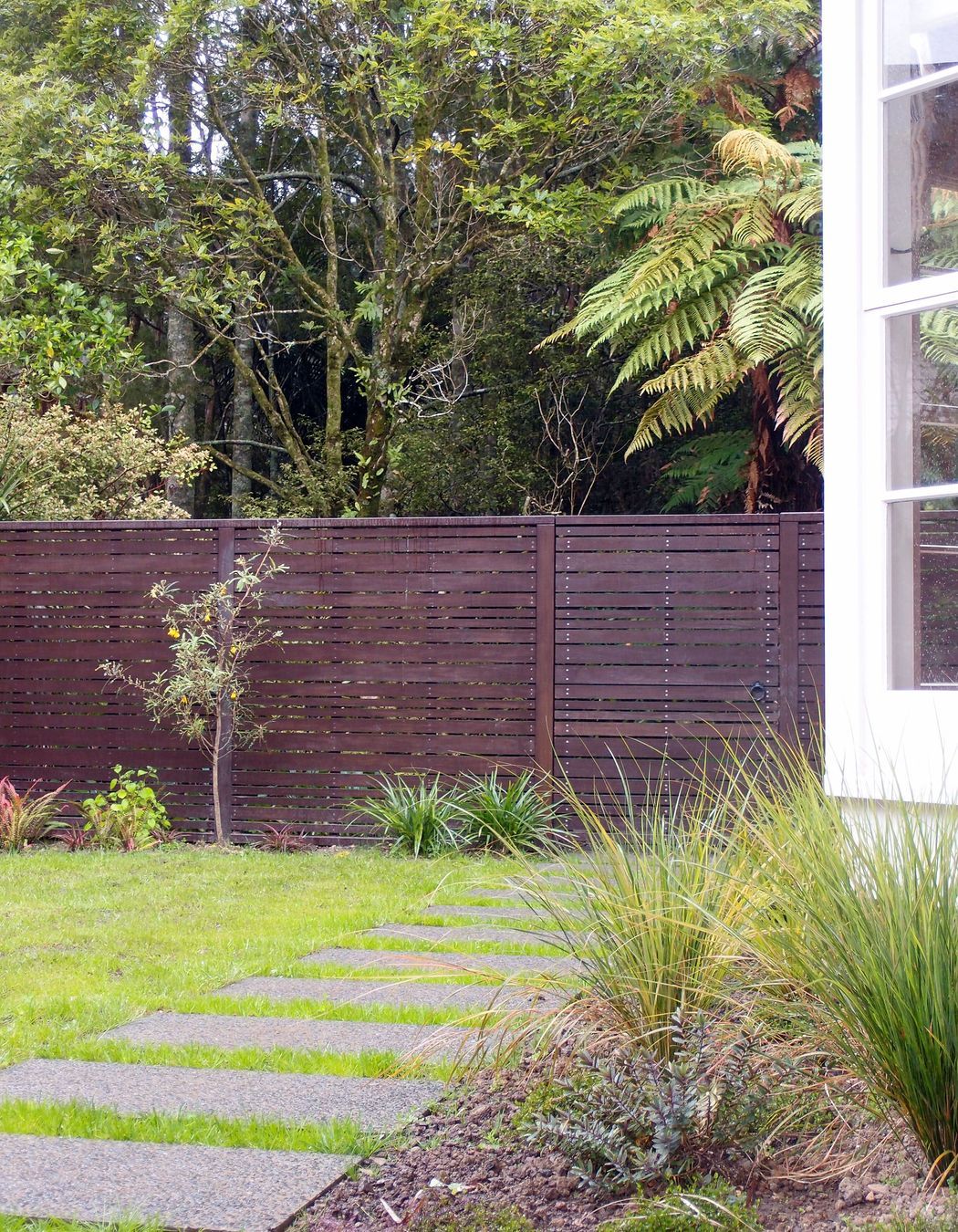 A sunny lawn is crossed by stepping stones and surrounded by native planting selected for its visual interest. The fence separates the dog territory from the wildife zone