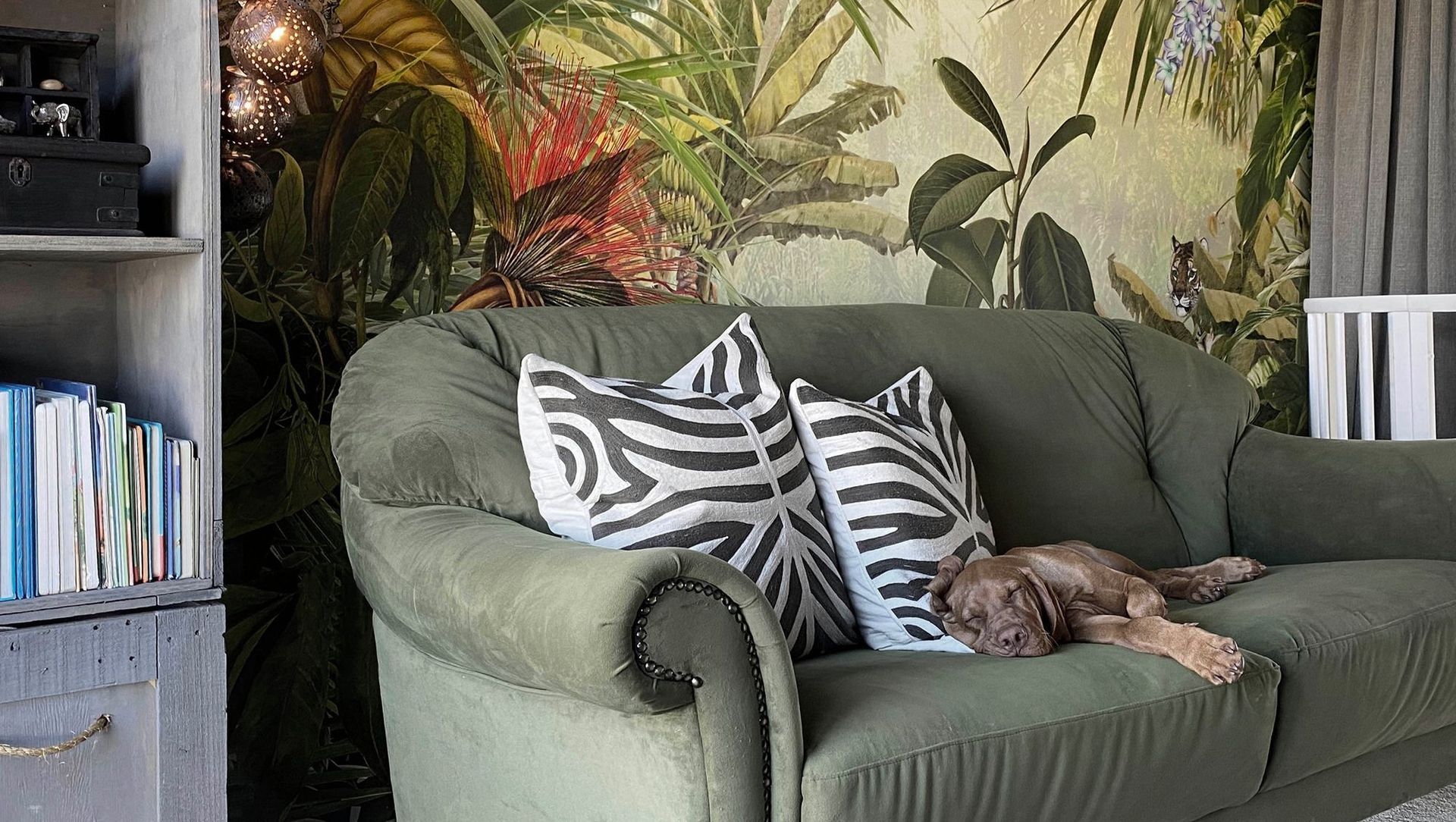 My Little Explorer | RIVERHEAD banner