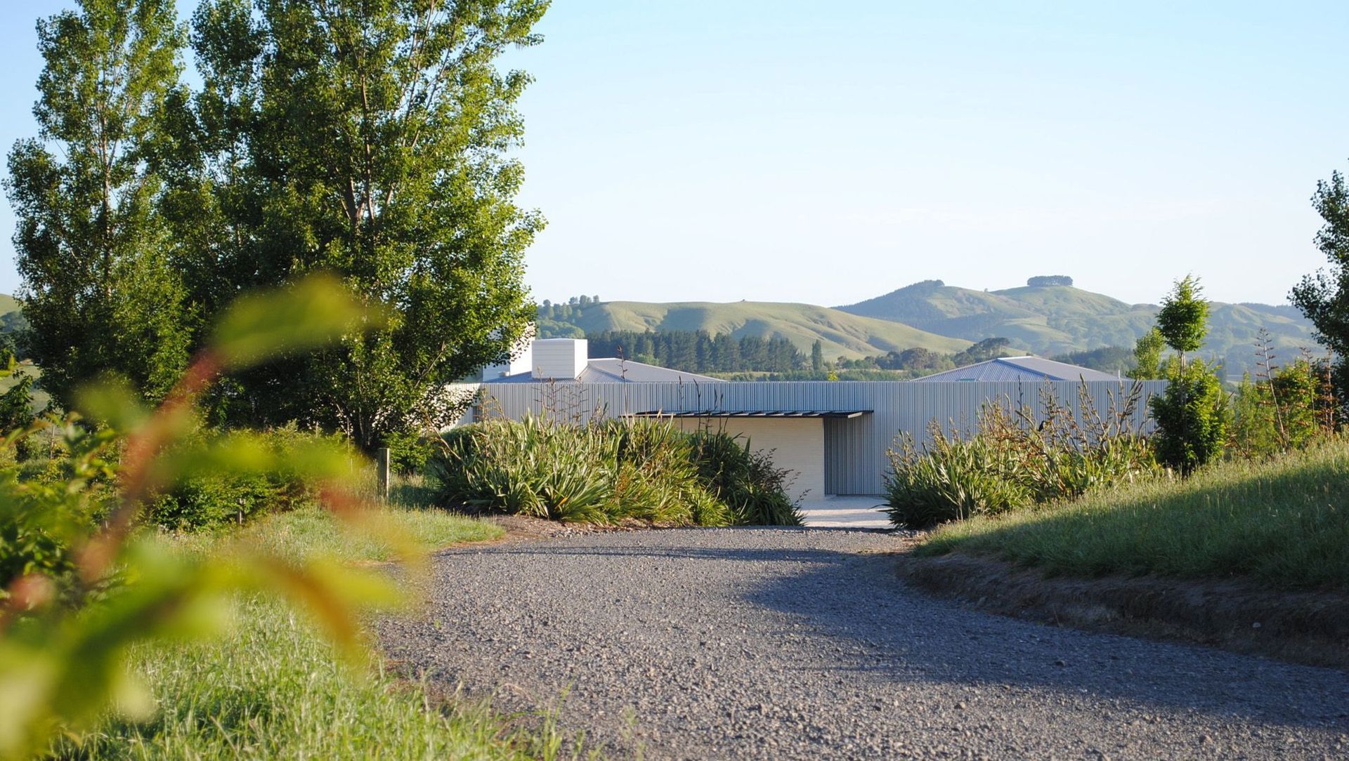 Poplars, Tuki Tuki Valley banner