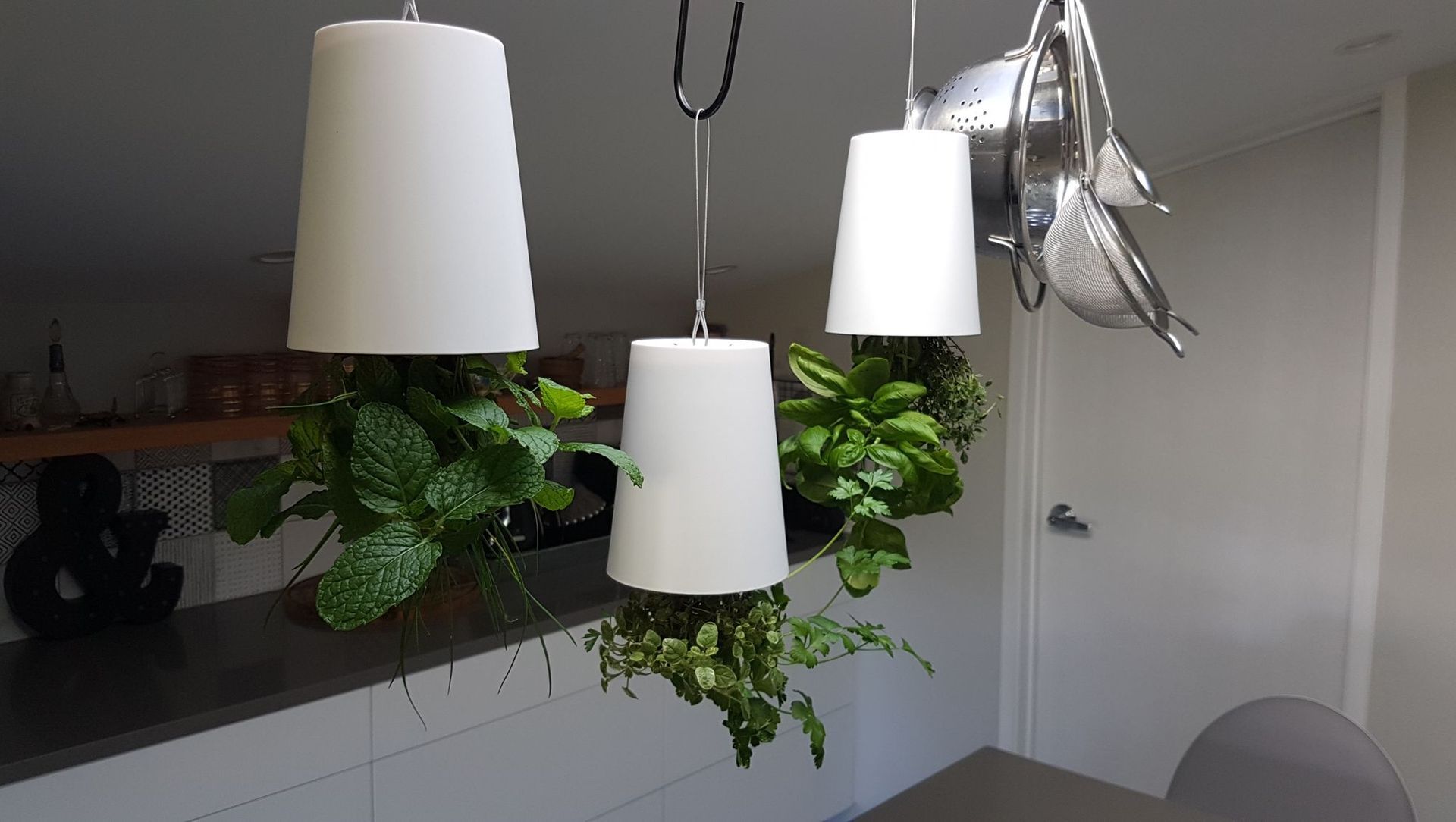 Ramarama Apartment banner