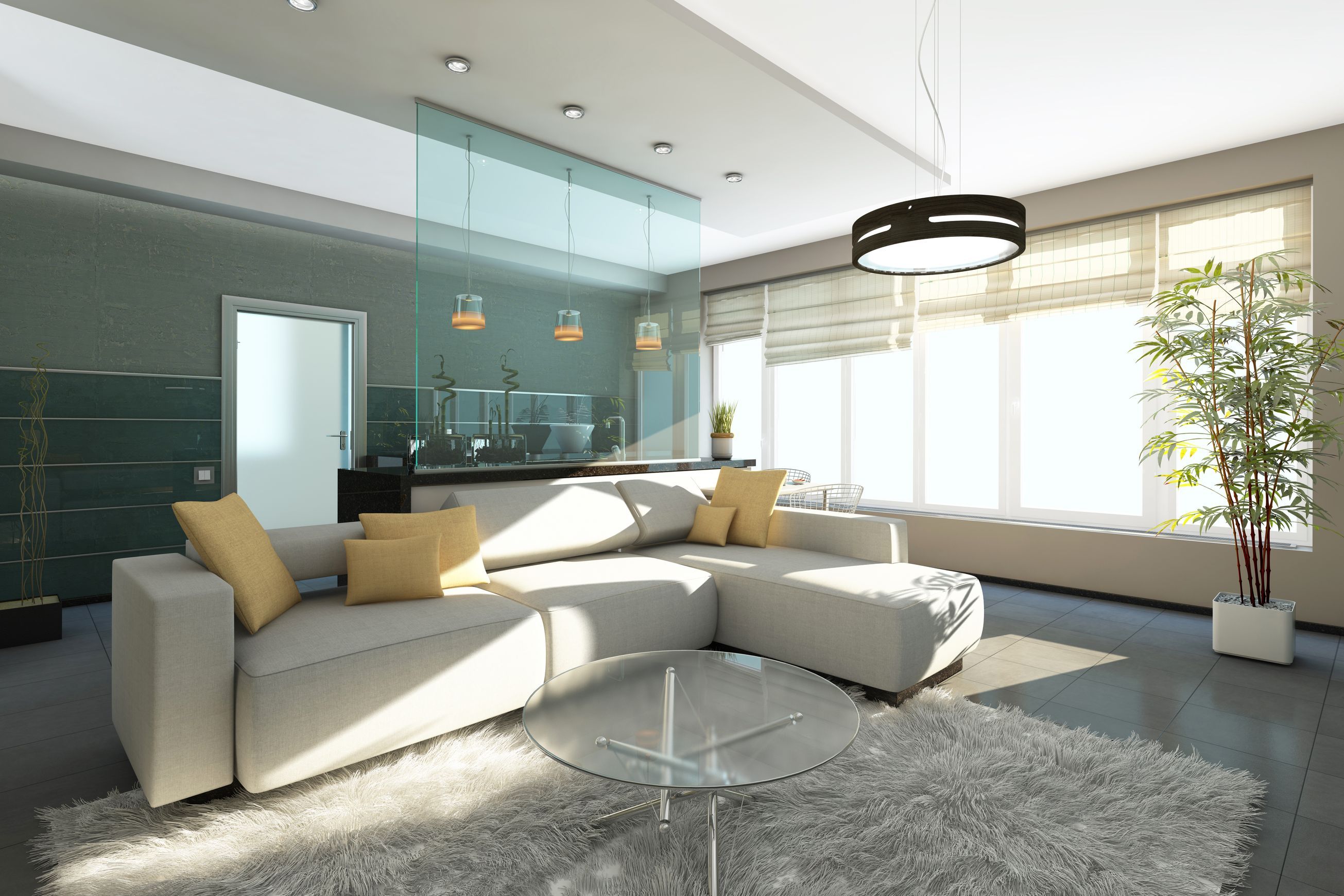Room Dividers/ Glass Partitions