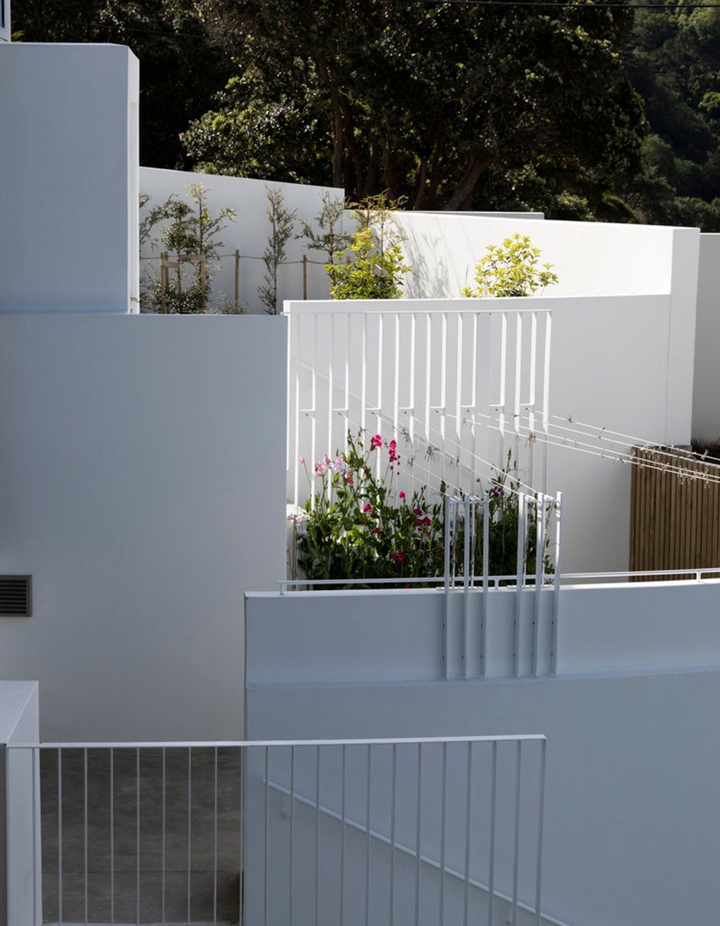 The clothes line area is shared by both apartments.