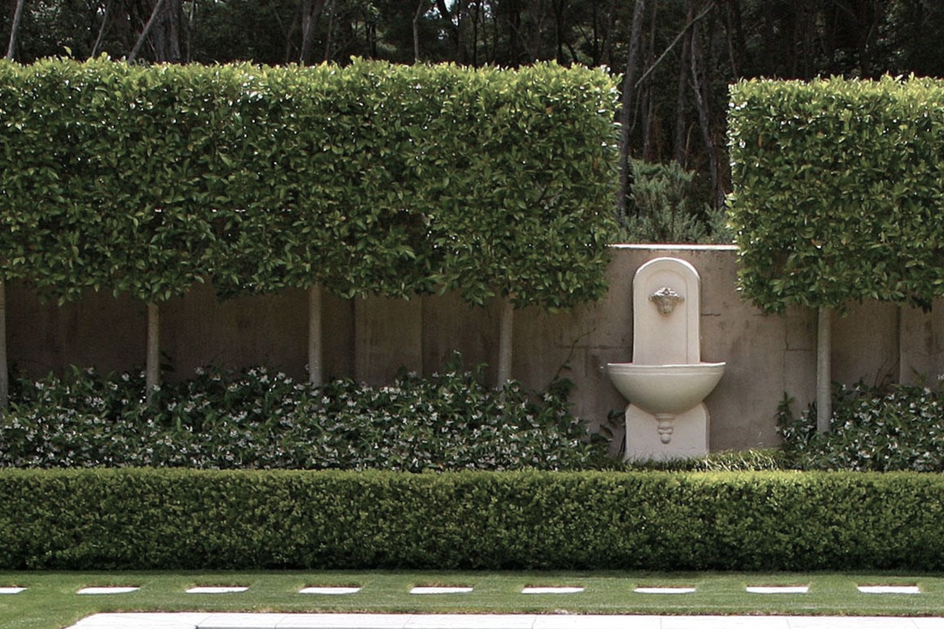 Shafer Design Studio banner