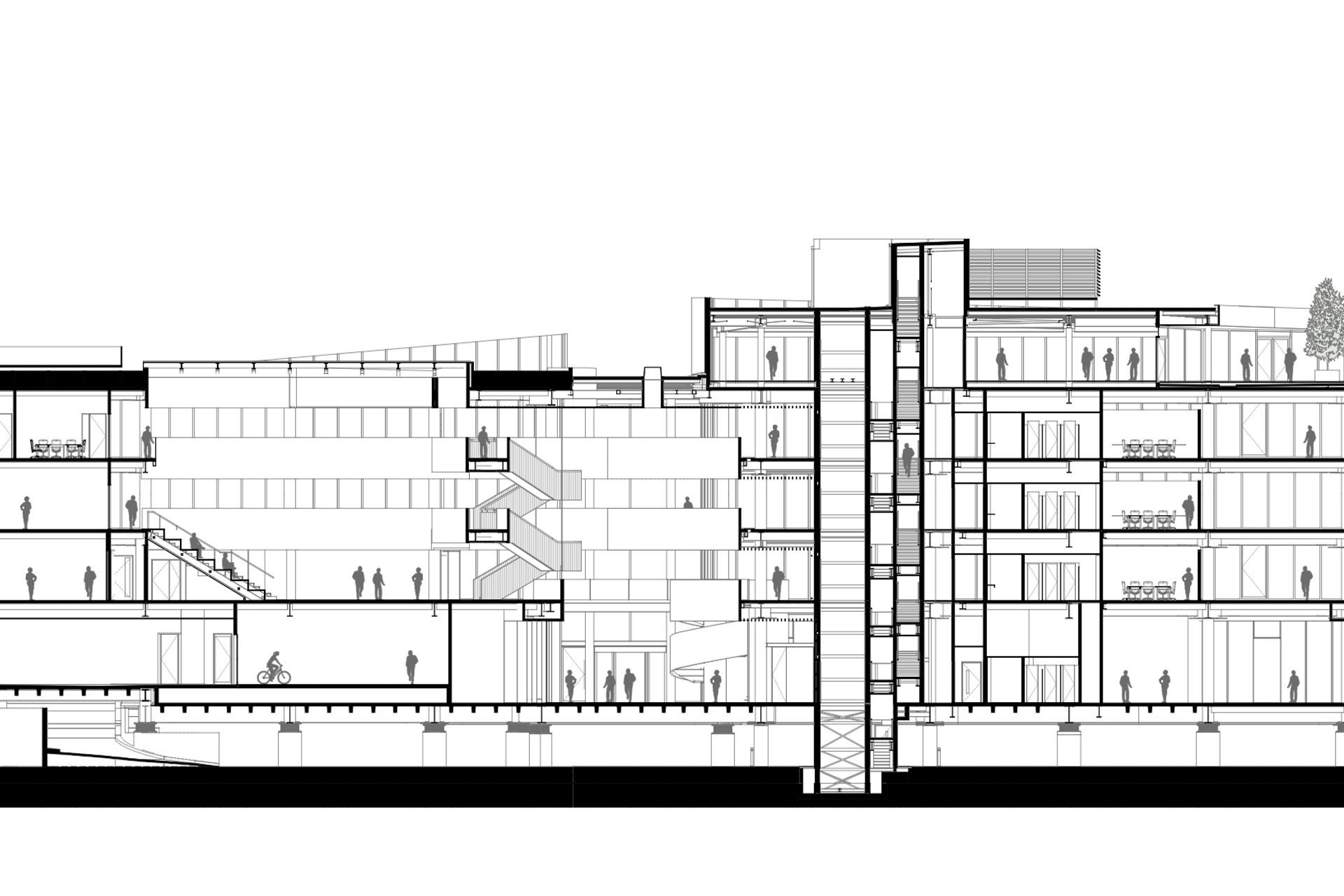 2 Cathedral Square, Christchurch – cross section D by Sheppard &amp; Rout Architects.