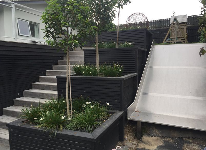 St Andrews | Hamilton