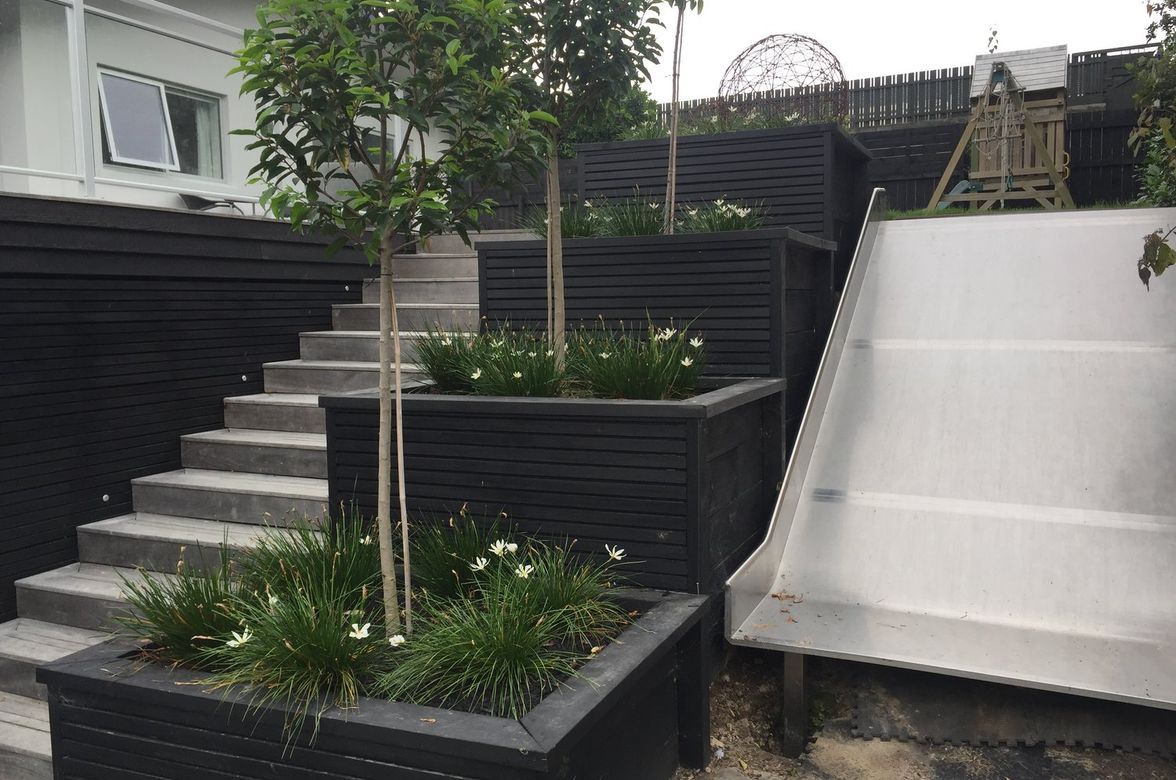 St Andrews | Hamilton