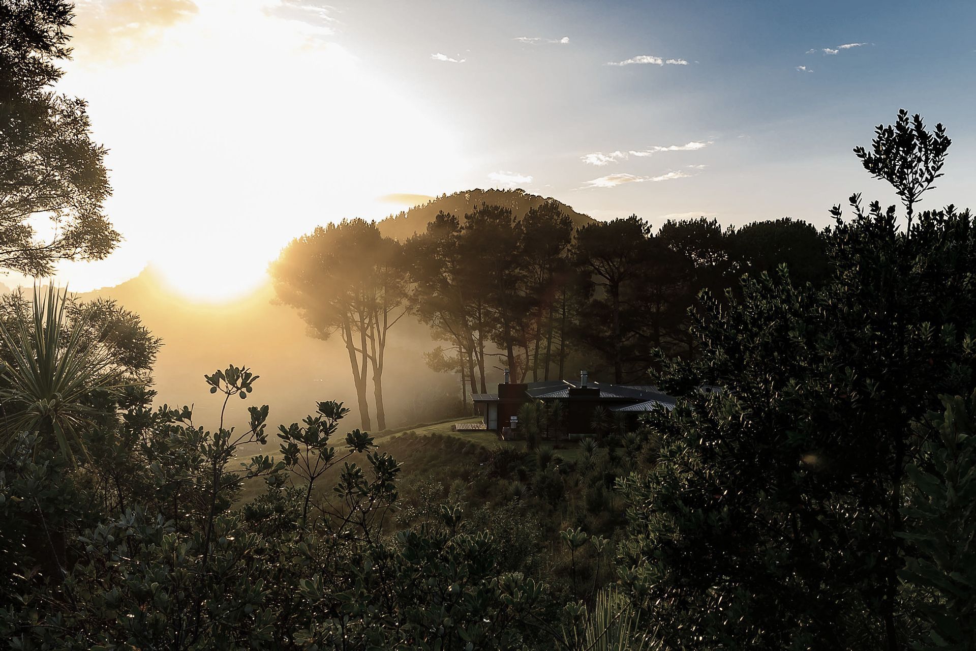 Hero Banner for Studio 77