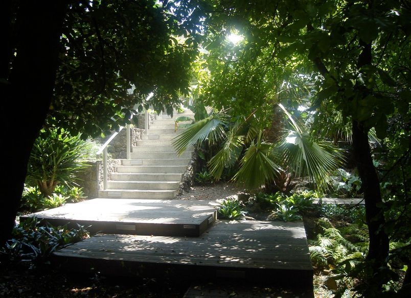 Subtropical Auckland Garden