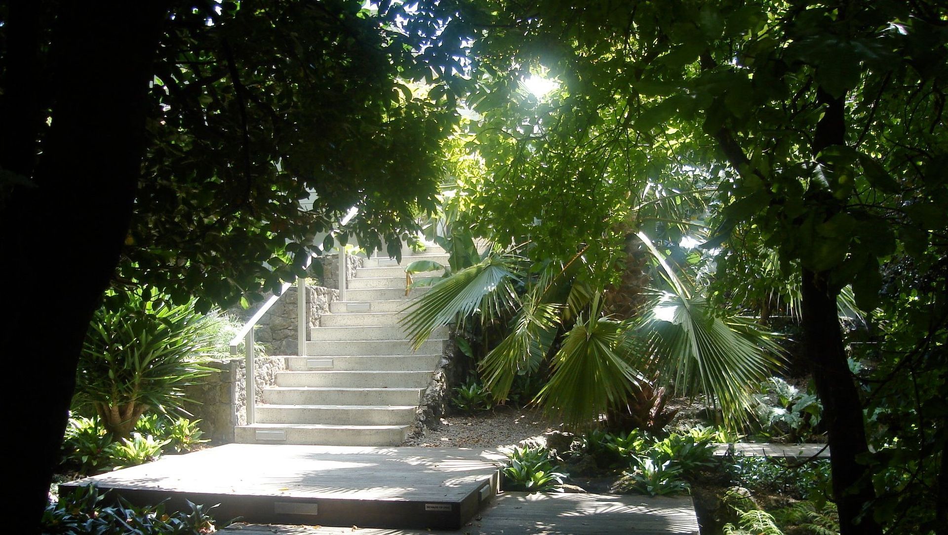 New steps and stone walls provide a elegant contract with the lush vegetation