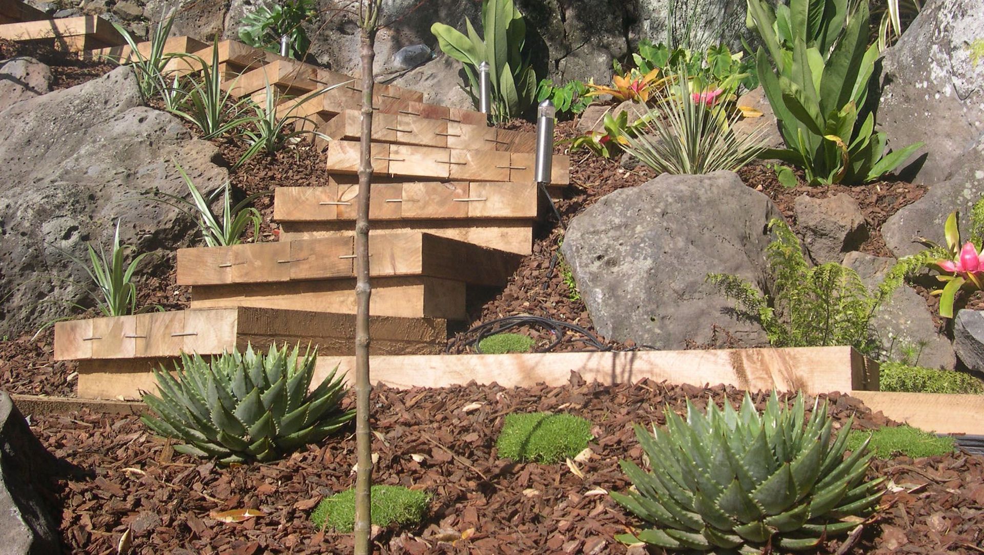 Takapuna Project banner