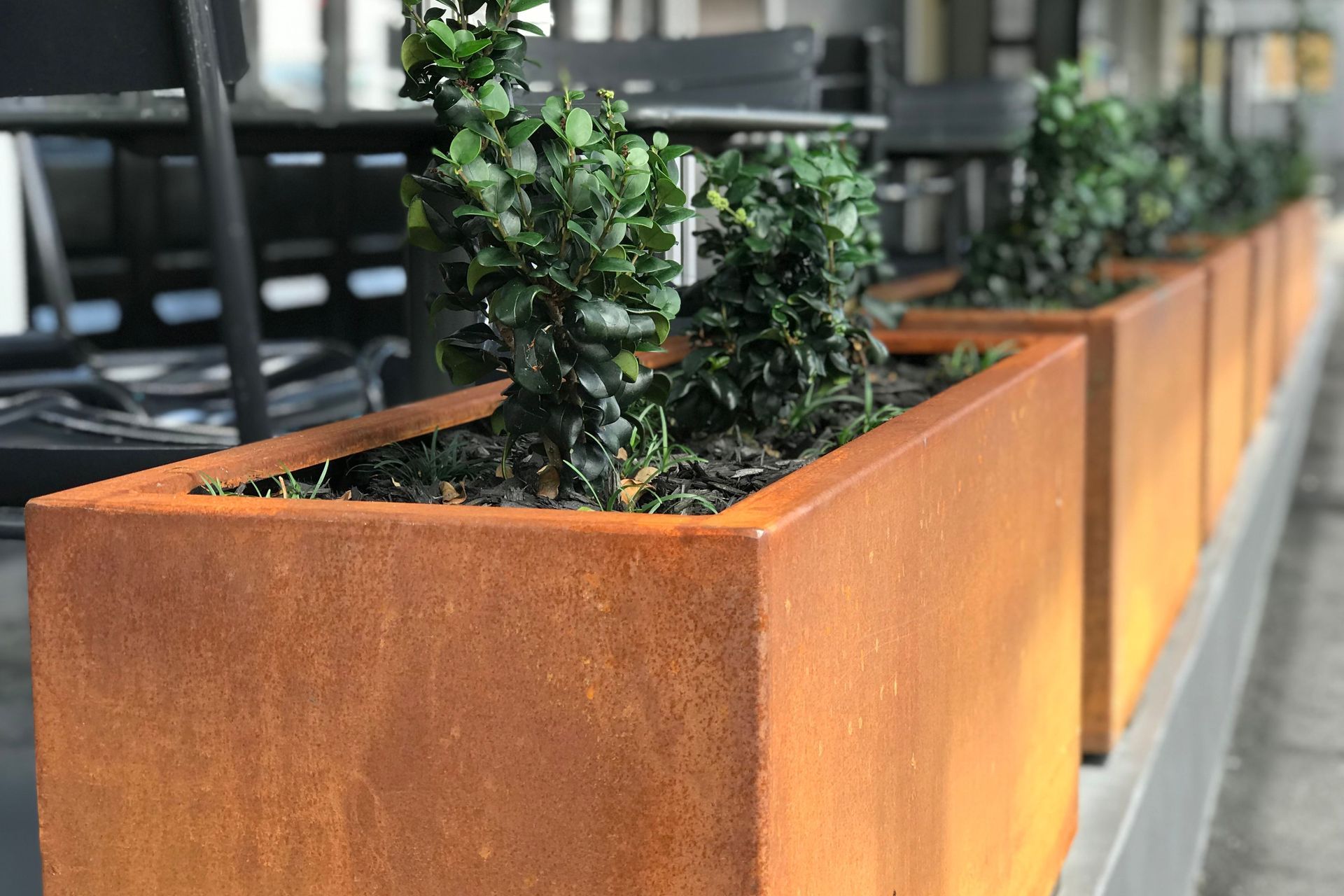 corten steel planters as a divider