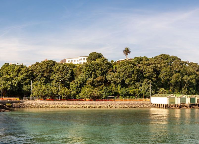 Tamaki Drive sea wall