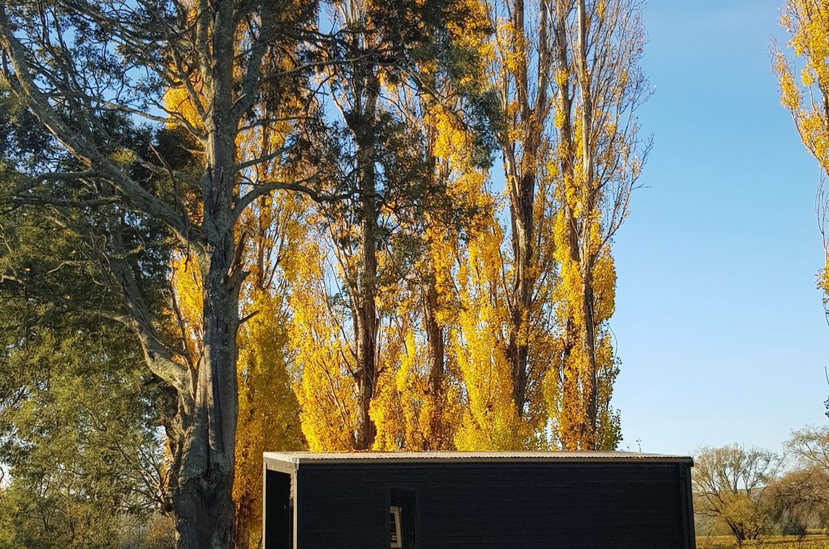 The Cabin