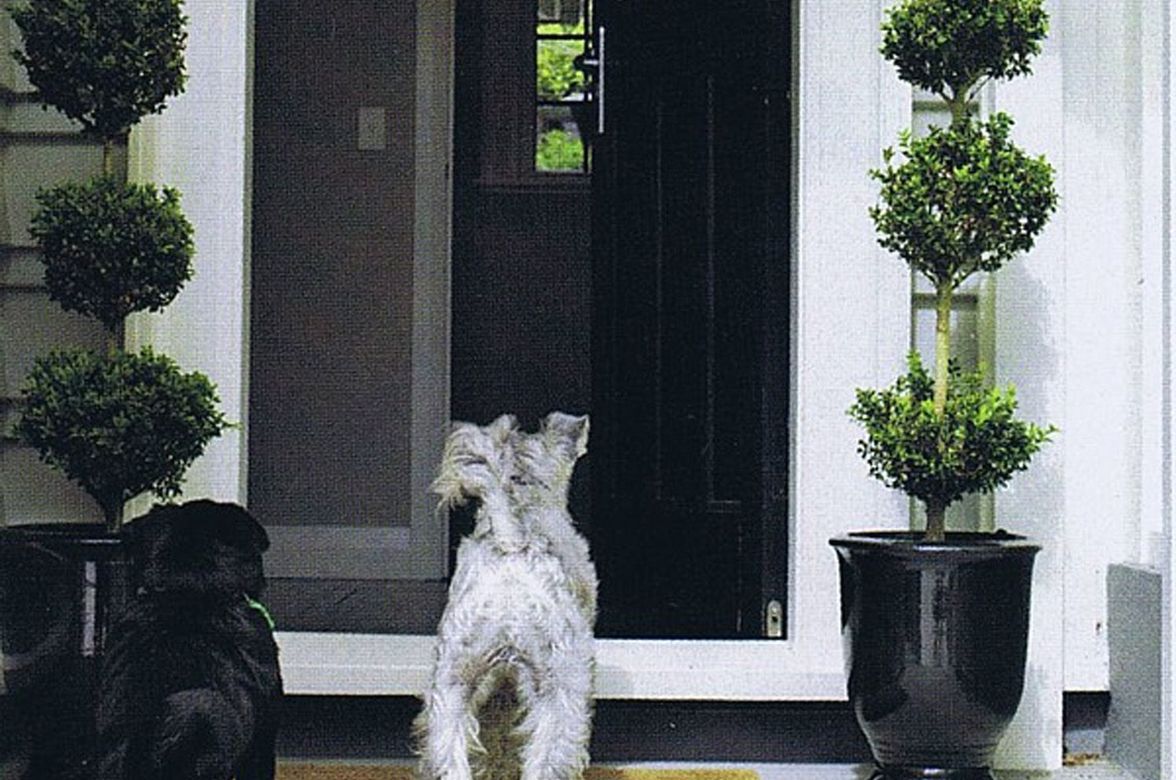 The Glen: stylish family garden with all the toys