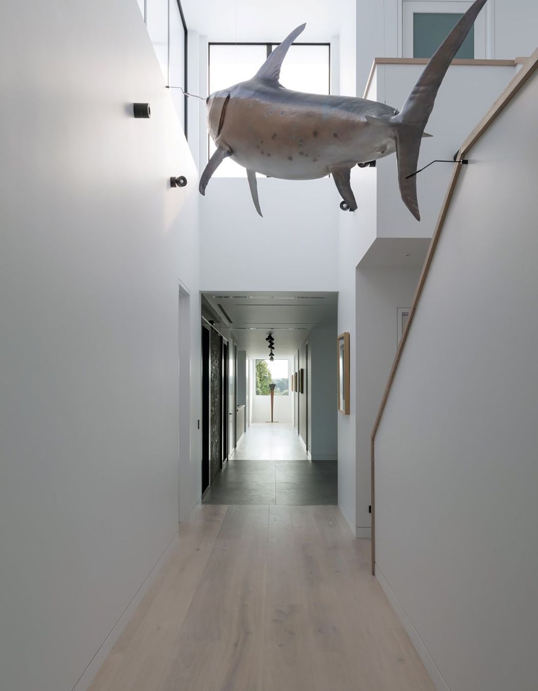 The central atrium acts like a gallery space for a huge broadbill swordfish.