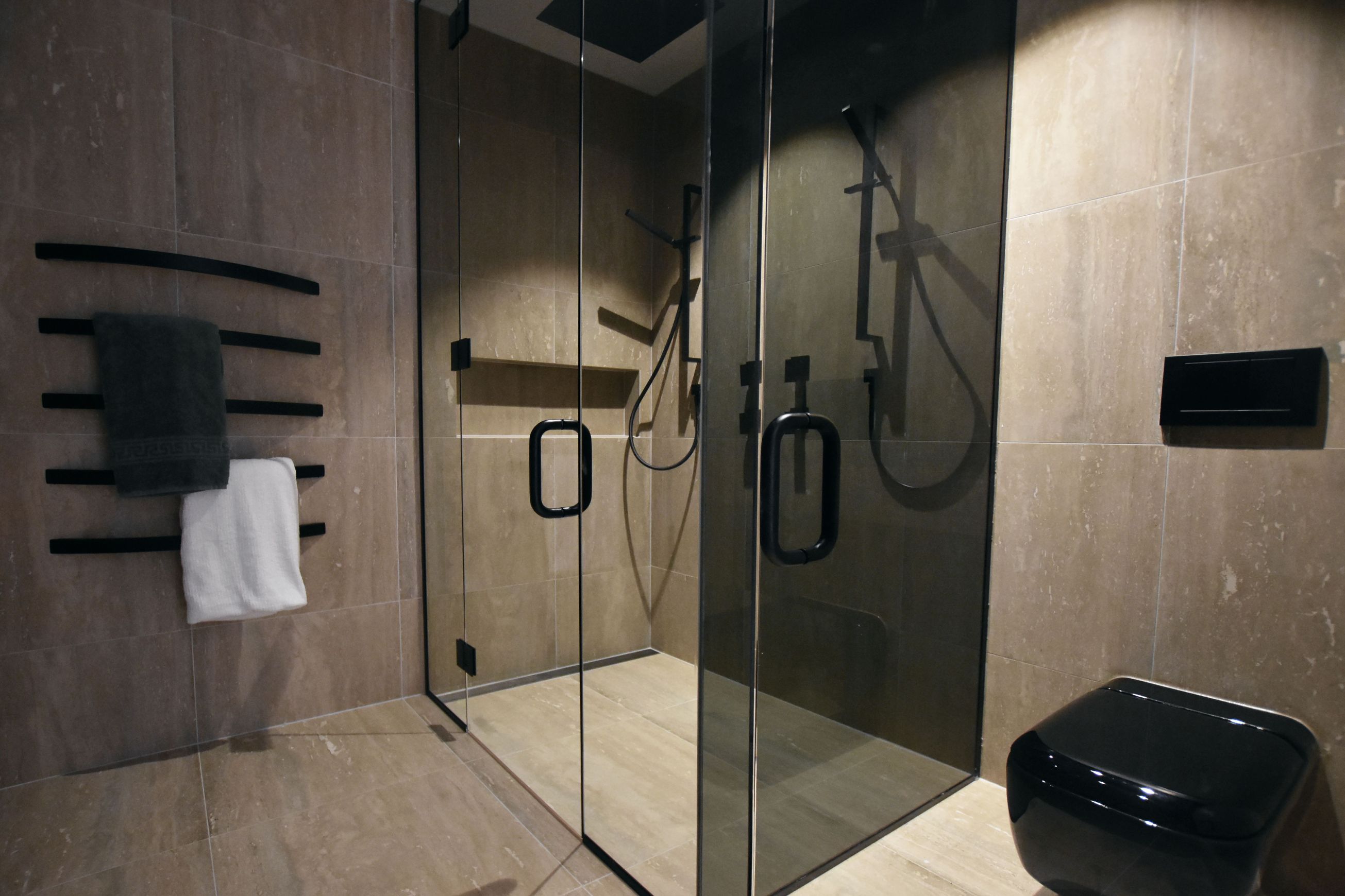 Tinted Shower Glass