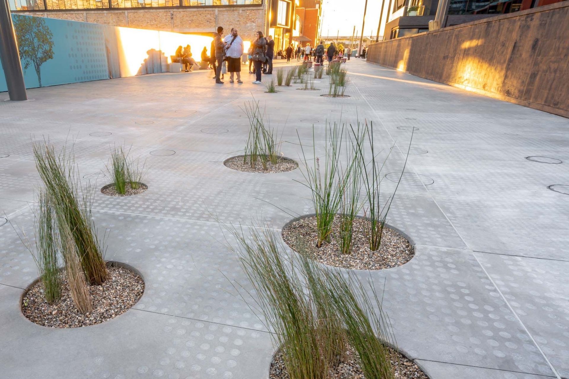 Jagas precast puddles and streetscape in Wynyard Quarter, Auckland