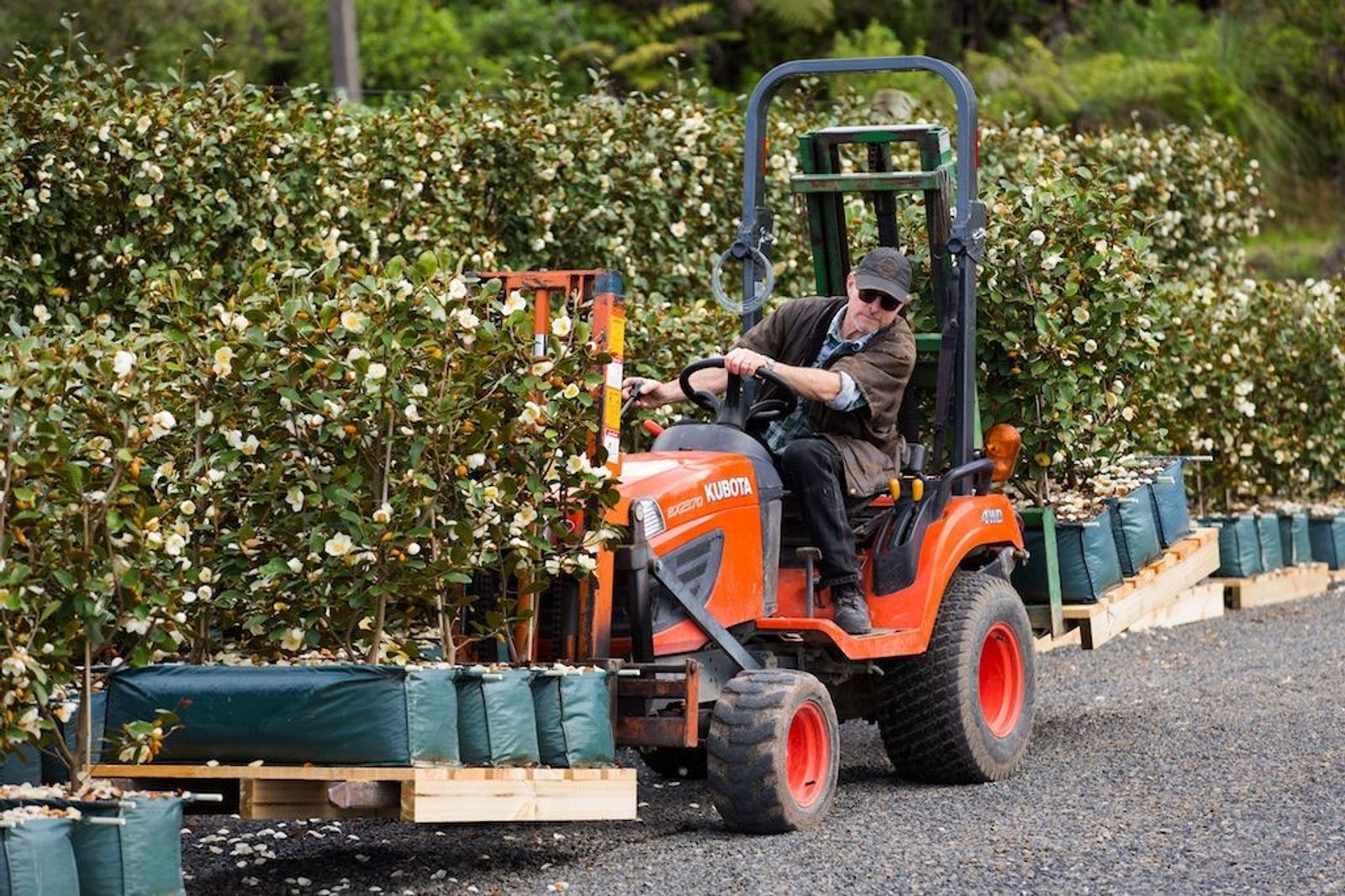 Twining Valley Nurseries