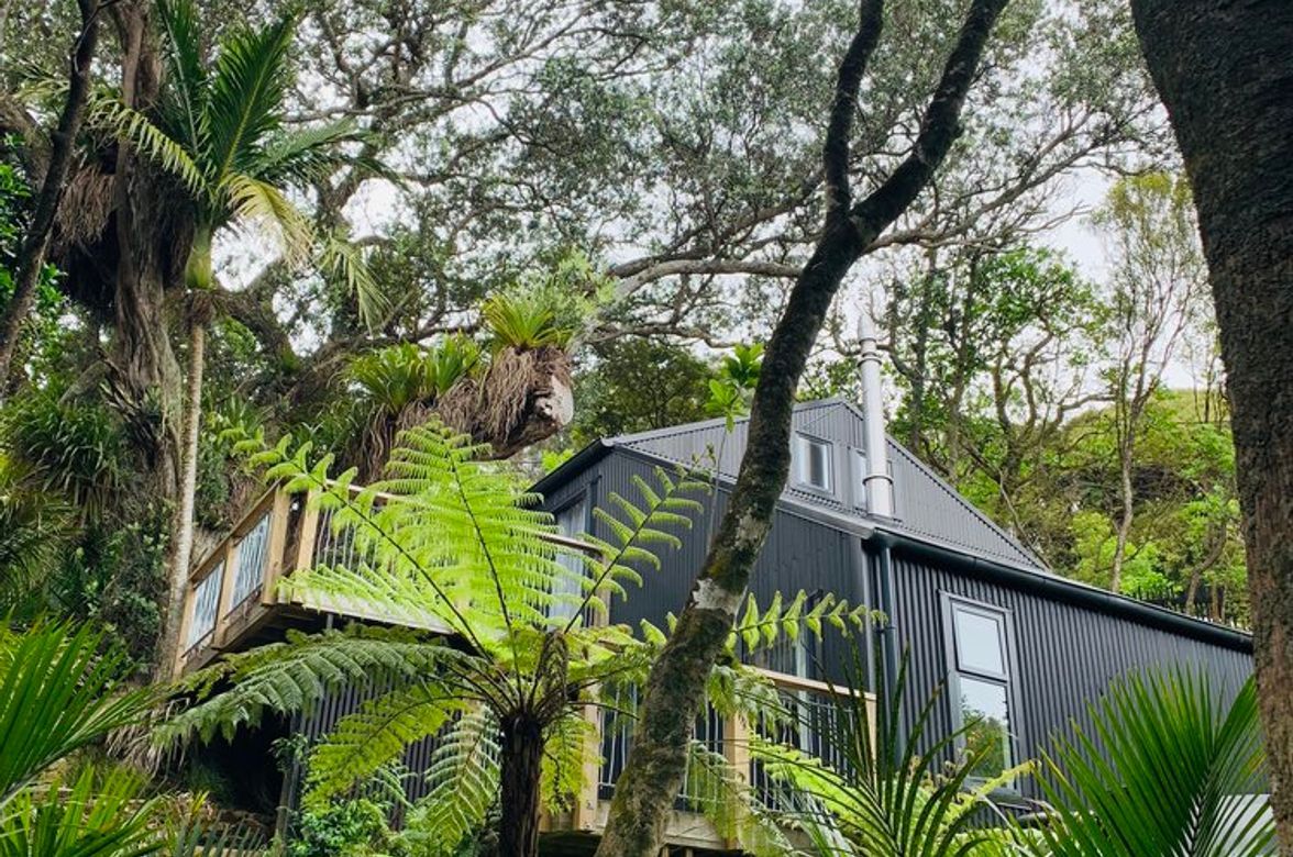 Waiheke Bush Bach