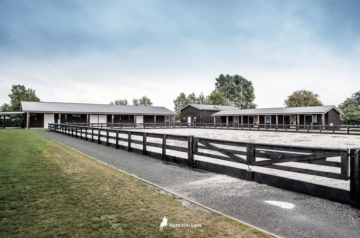 Waikato Equine Veterinary Centre