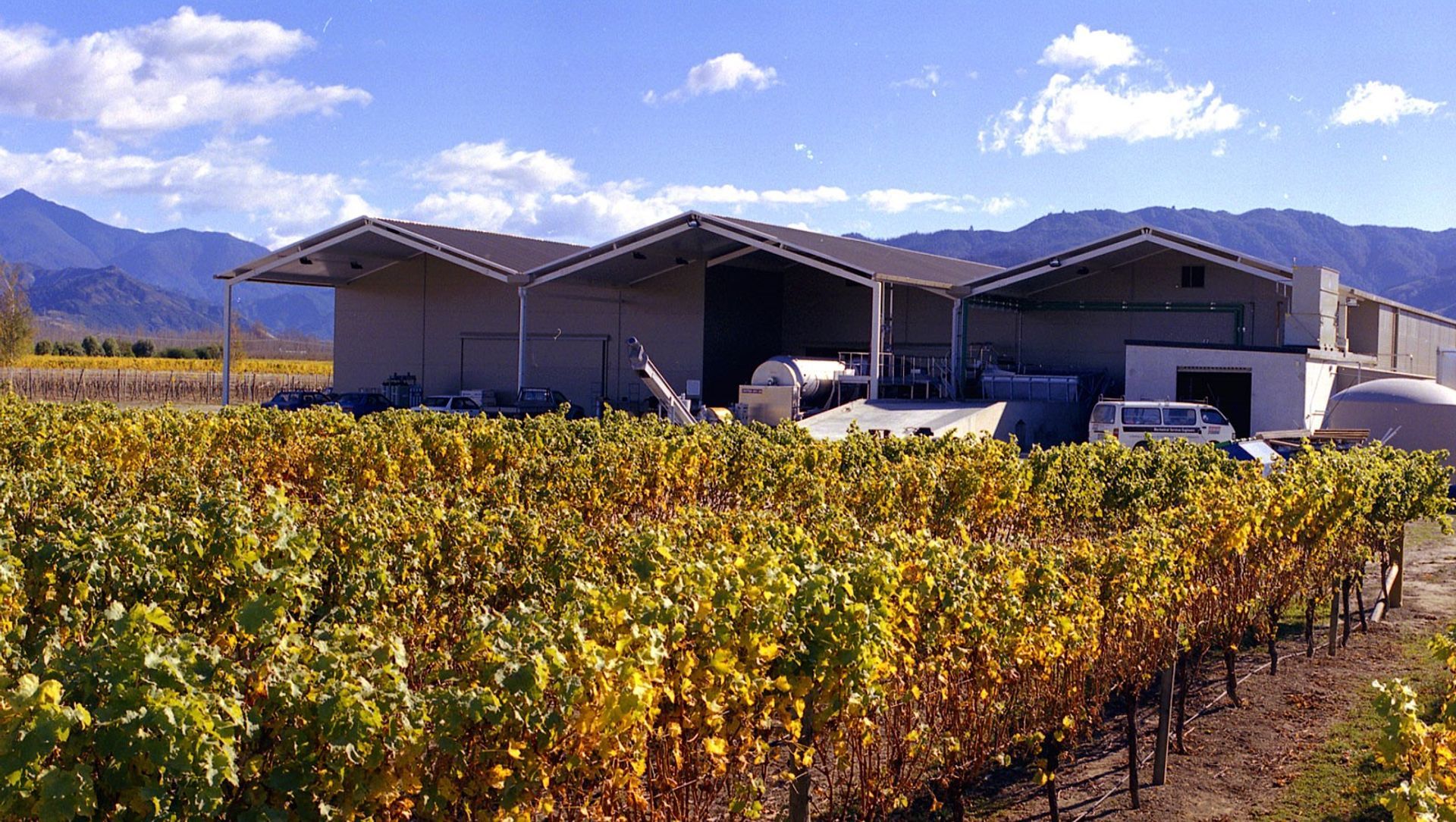 Wairau River Wines banner