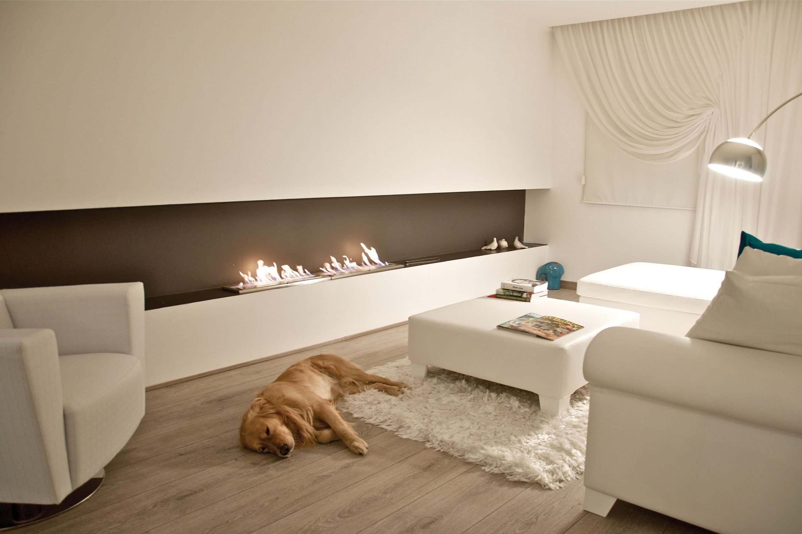 EcoSmart XL900 Ethanol Biofuel Fireplace 