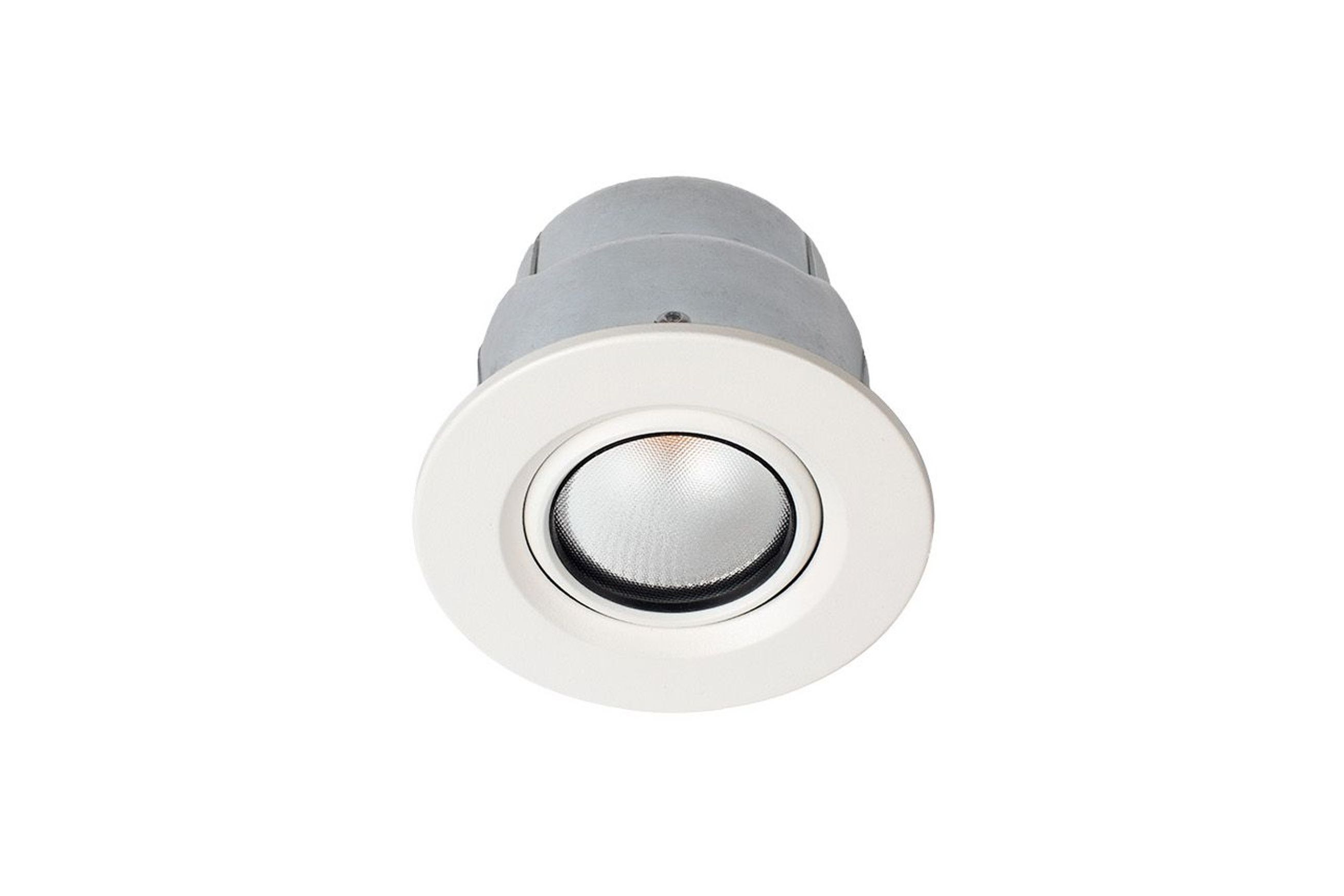 ZELA Fire Rated Tilt Downlight