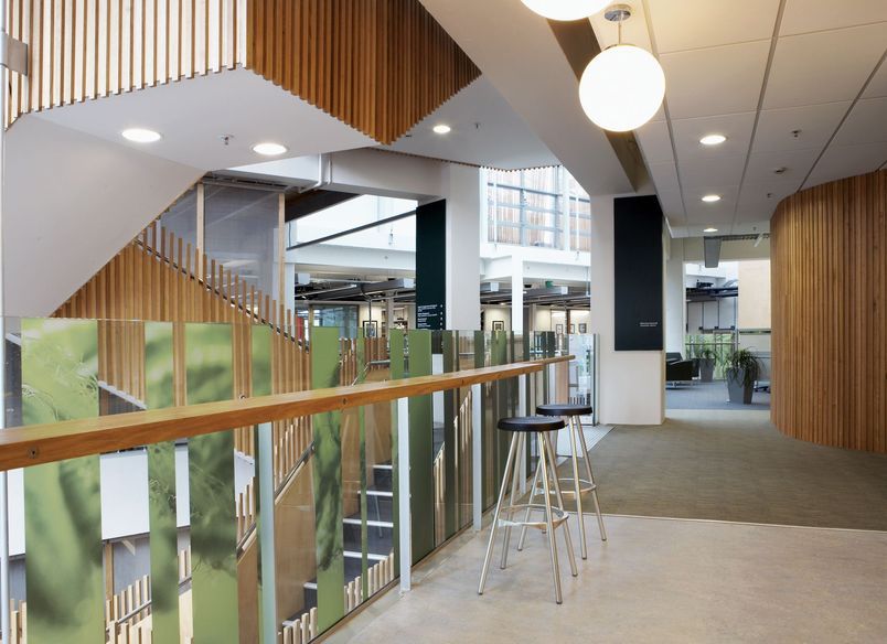 Conservation House Wellington