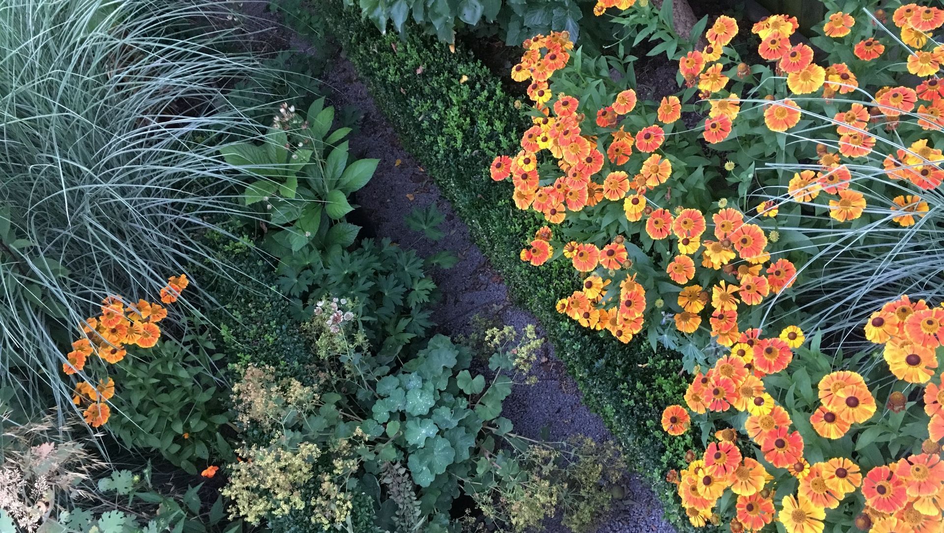 Christchurch Garden banner