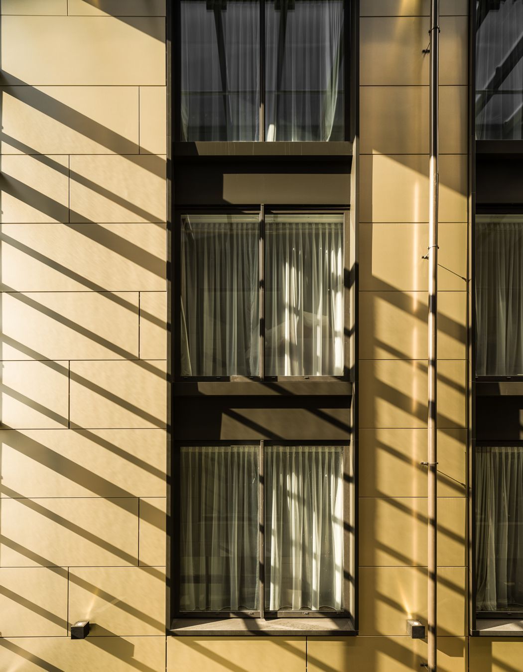 Sudima &amp; Frank Knight House, Christchurch<br />Ignite Architects