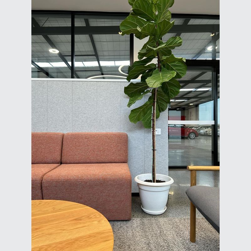 Whispa - Big River Panels